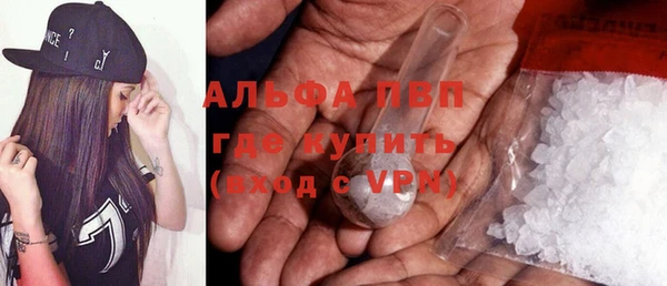 СК Алексин
