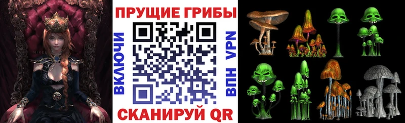 Галлюциногенные грибы Psilocybine cubensis Брянск