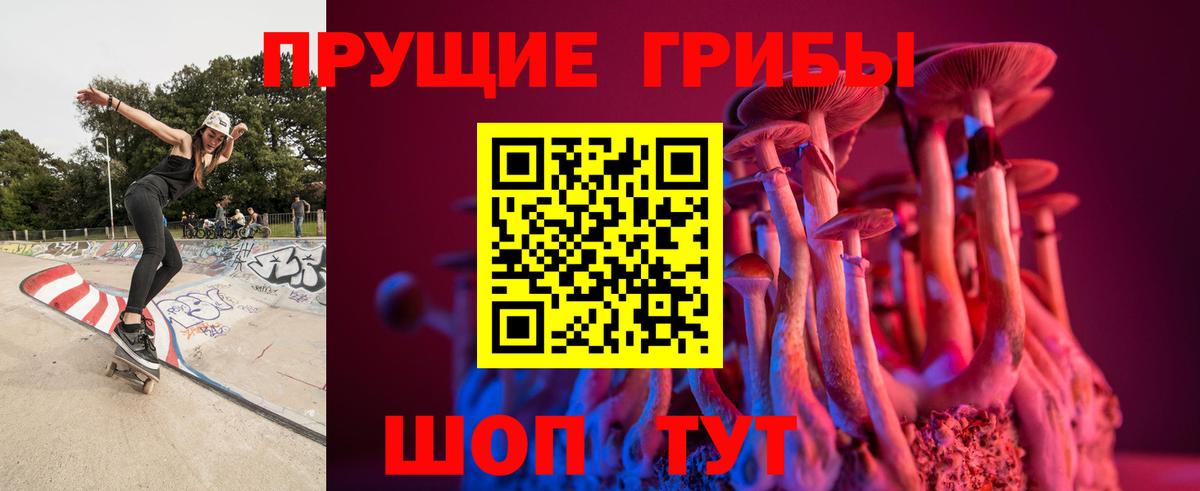 Брянск  Галлюциногенные грибы Psilocybine cubensis  Вход с VPN 