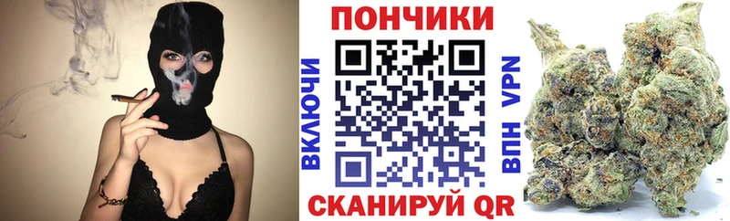 Бошки Шишки конопля Брянск
